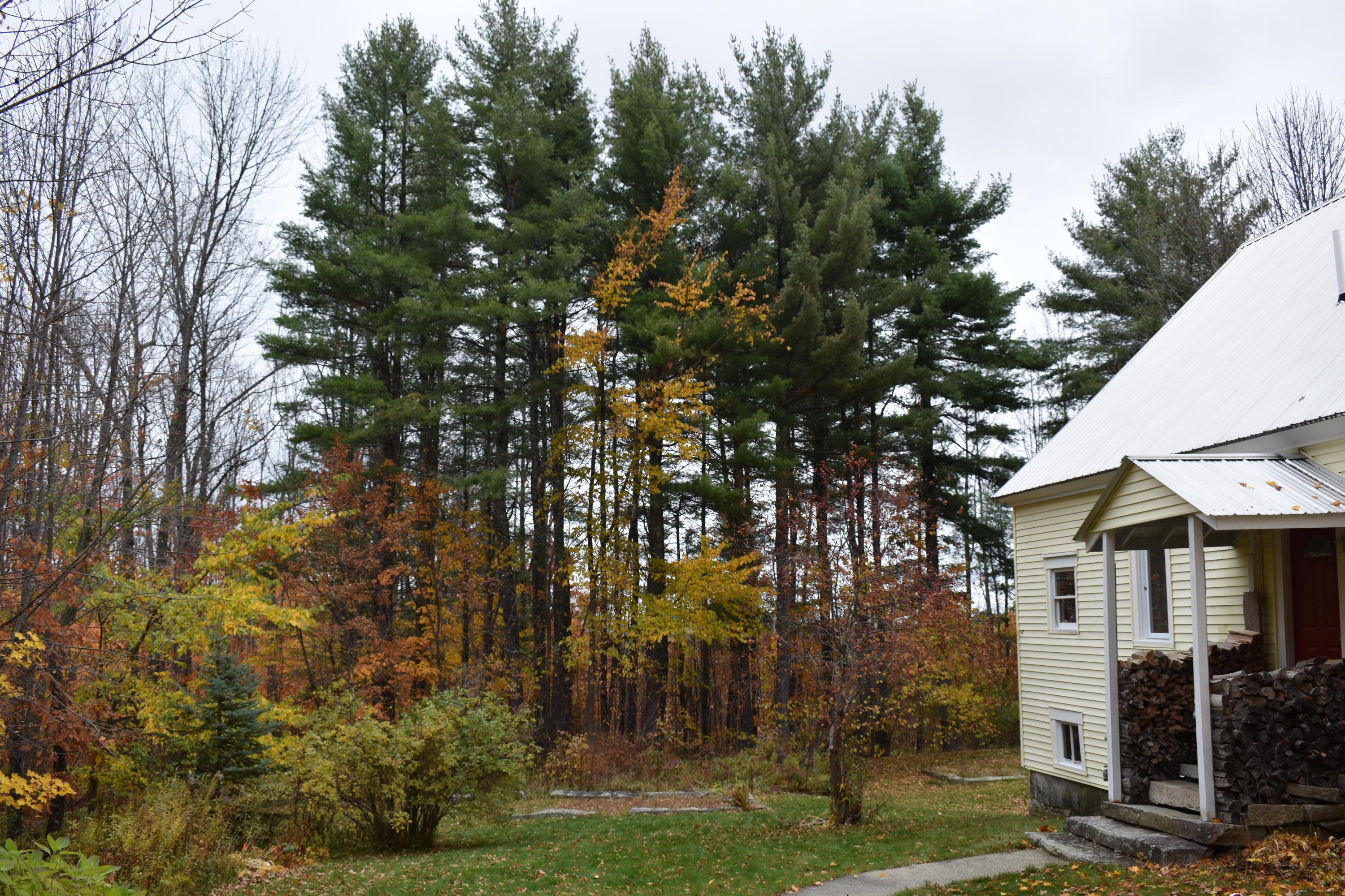 215 Ingalls Road Bridgton, ME 04009 - Photo 4 of 42 DSC_0990