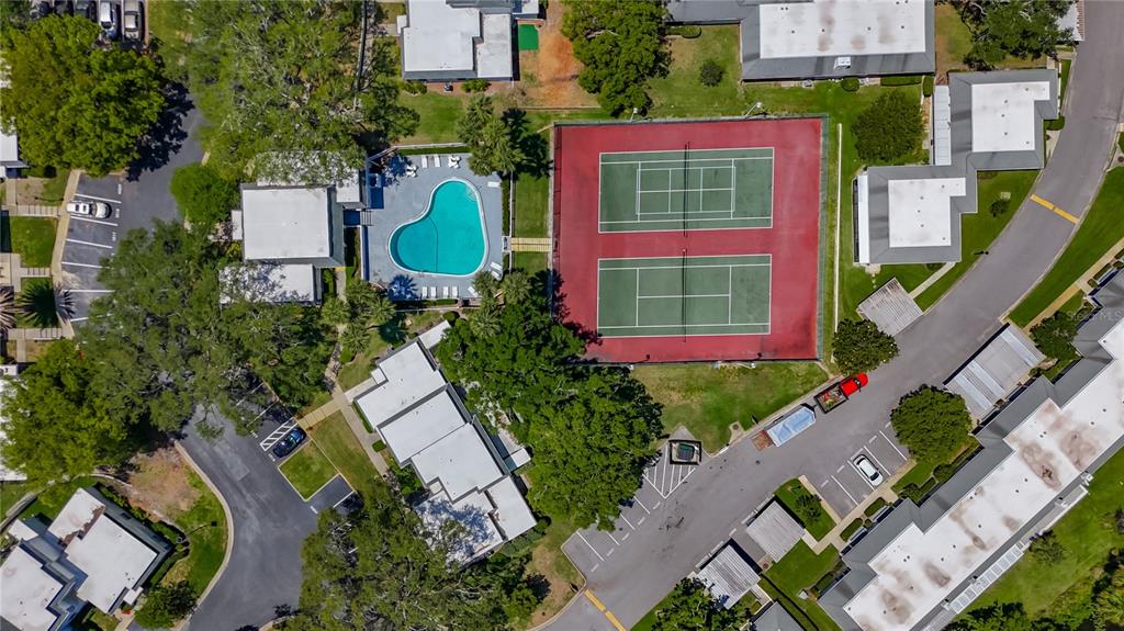 1241 McMullen Booth Road Clearwater, FL 33759 - Photo 34 of 37