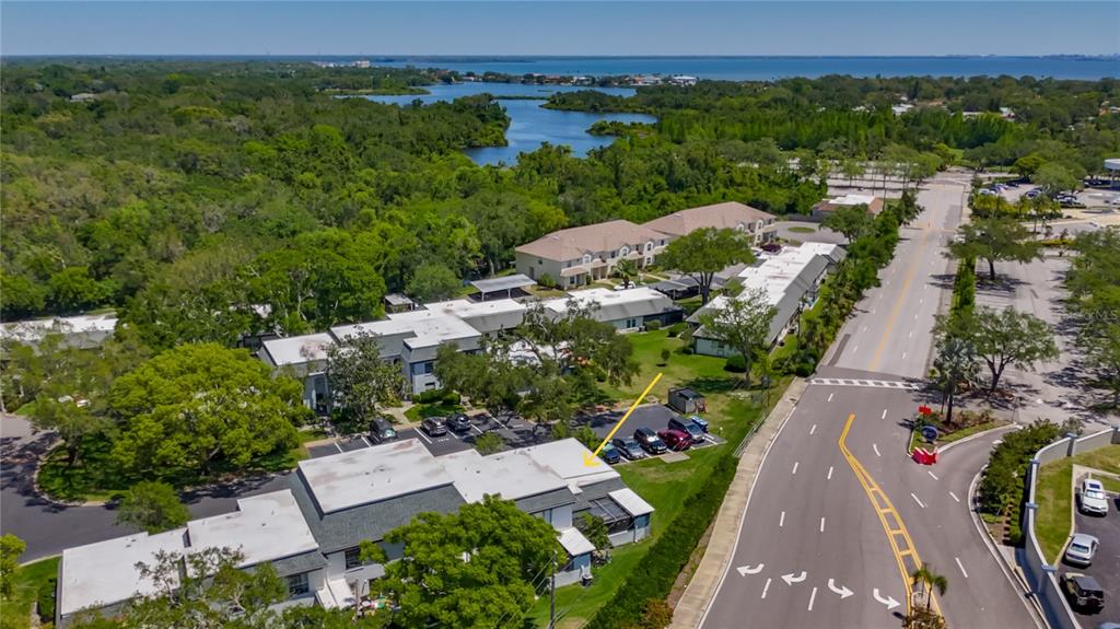 1241 McMullen Booth Road Clearwater, FL 33759 - Photo 35 of 37