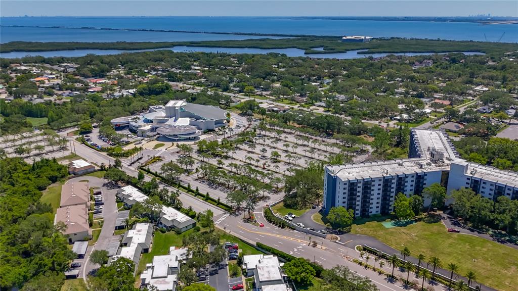 1241 McMullen Booth Road Clearwater, FL 33759 - Photo 37 of 37