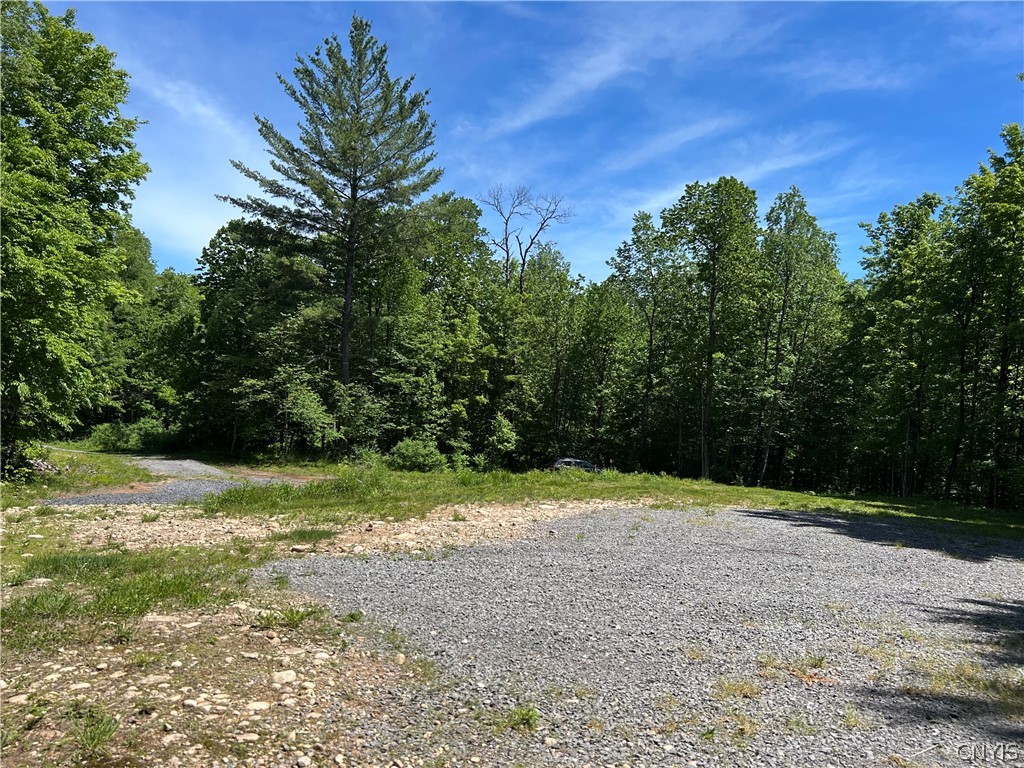 7702 Hiawatha Lake Road Greig, NY 13343 - Photo 11 of 14