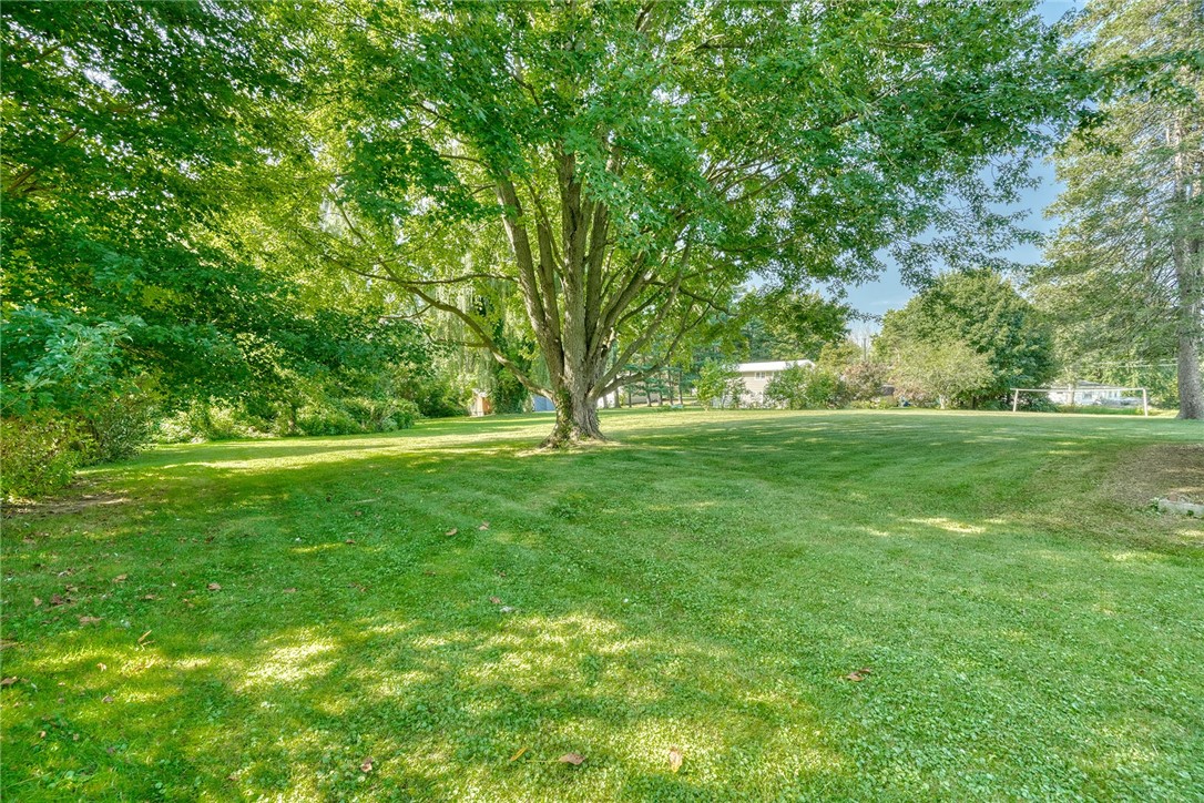 1178 Ridge Road Ontario, NY 14519 - Photo 47 of 49 looking out over the yard