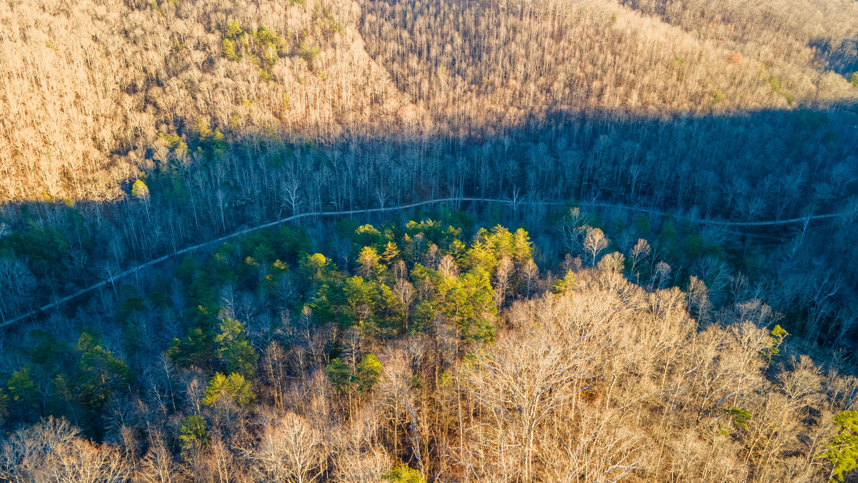 0 Crooked Crk Road Orlando, KY 40460 - Photo 13 of 20 CrookedCreekRd-06