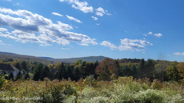 a bathroom with a sink and a shower curtain