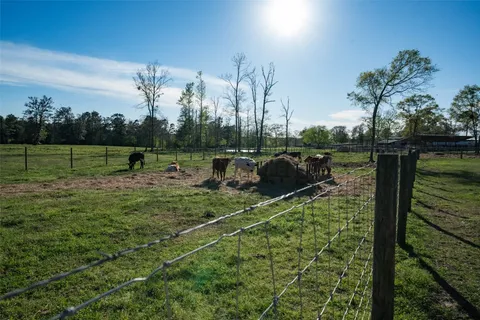 a view of a big yard with large trees