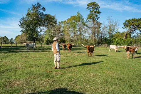 $2,541,000 | 495 Everitt Road, Cleveland, TX 77328