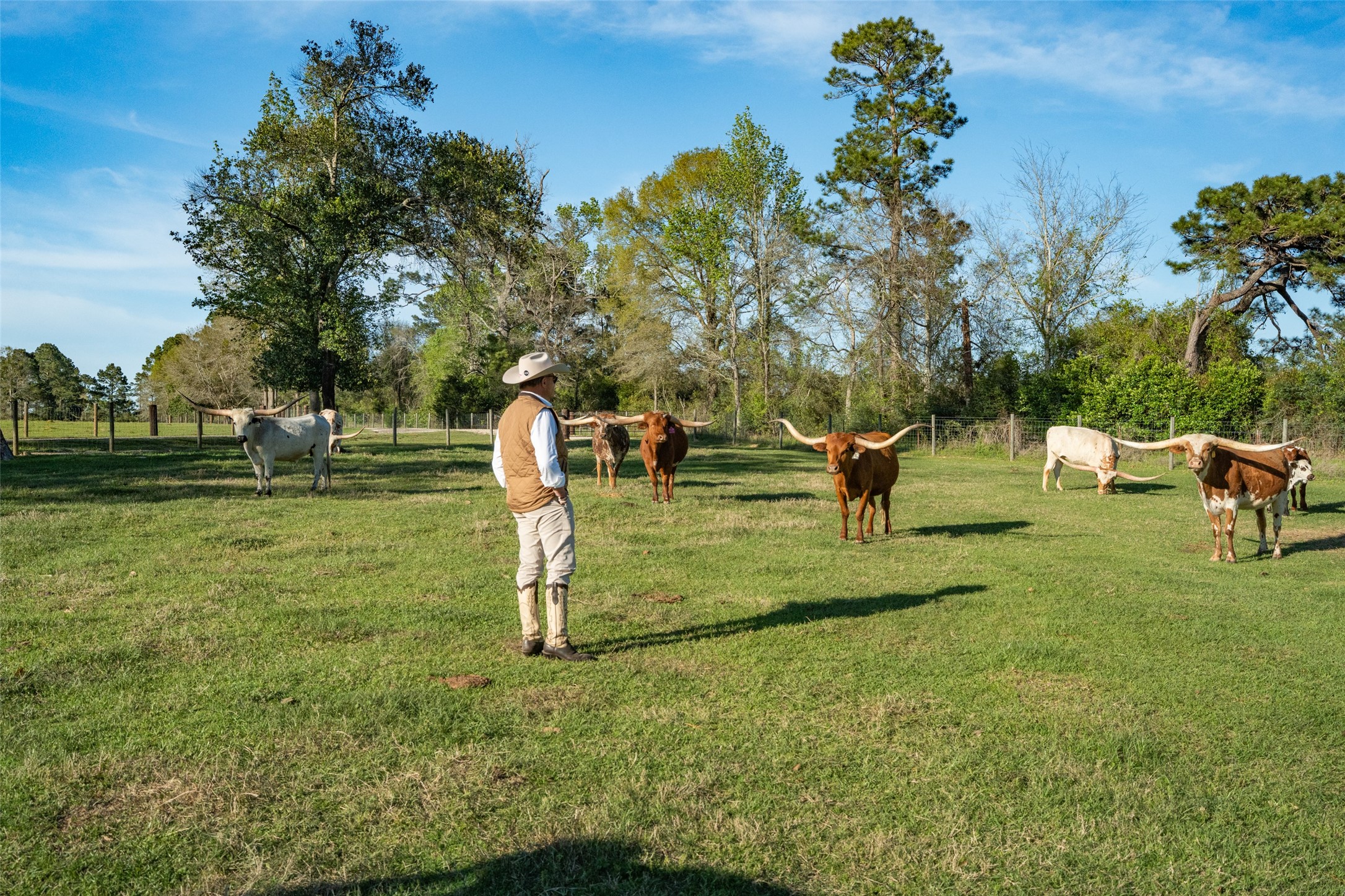 495 Everitt Road Cleveland, TX 77328 - Photo 25 of 41