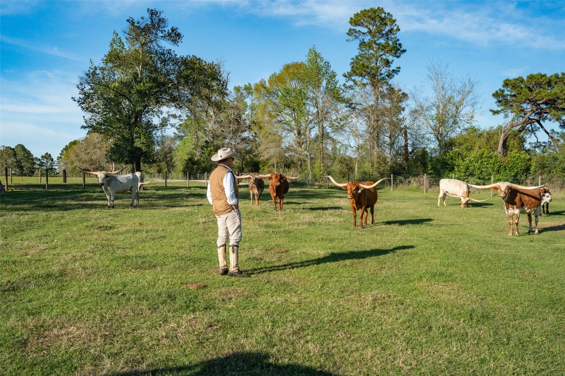 495 Everitt Road Cleveland, TX 77328 - Photo 25 of 41