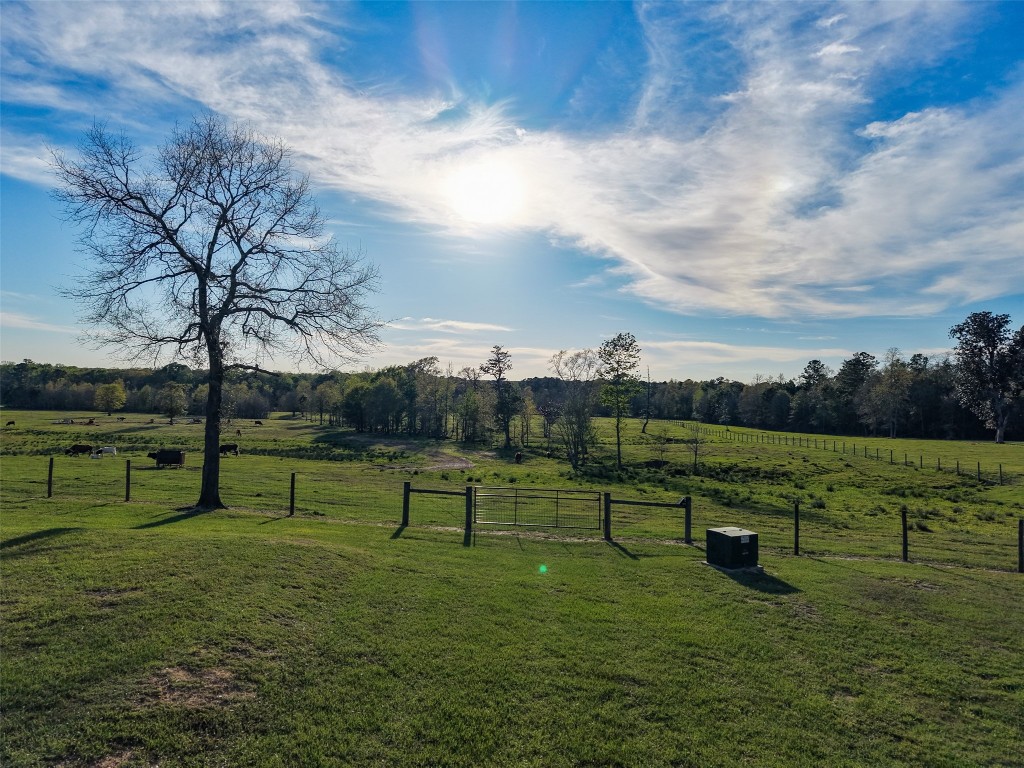 495 Everitt Road Cleveland, TX 77328 - Photo 29 of 41