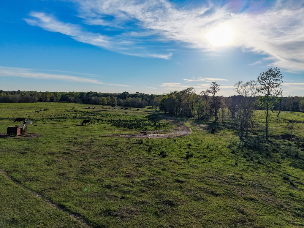 495 Everitt Road Cleveland, TX 77328 - Photo 30 of 41