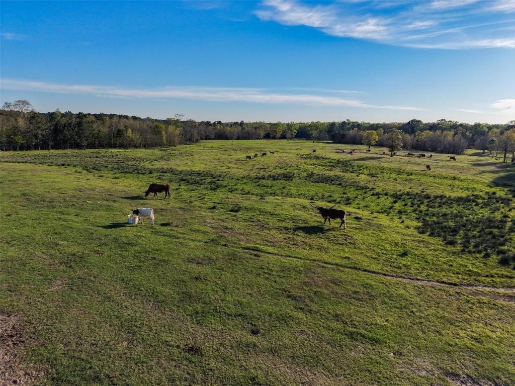 495 Everitt Road Cleveland, TX 77328 - Photo 31 of 41