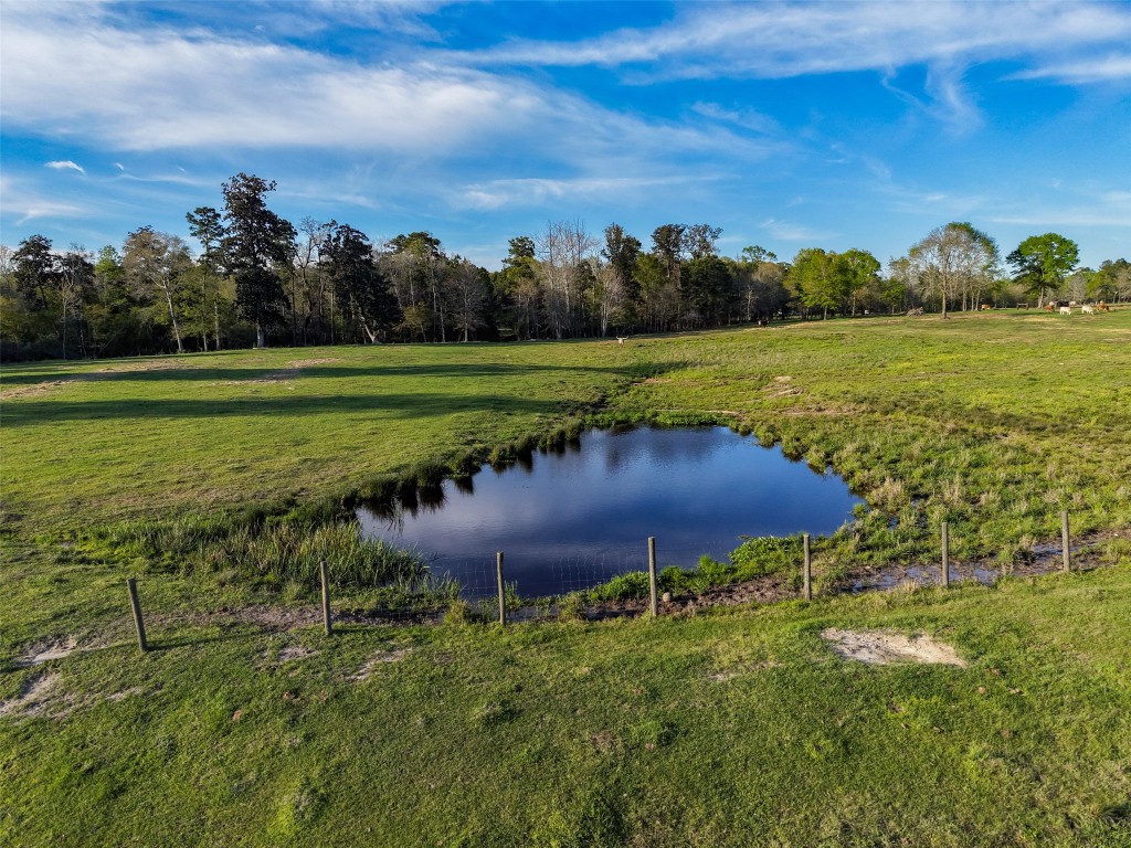 495 Everitt Road Cleveland, TX 77328 - Photo 32 of 41