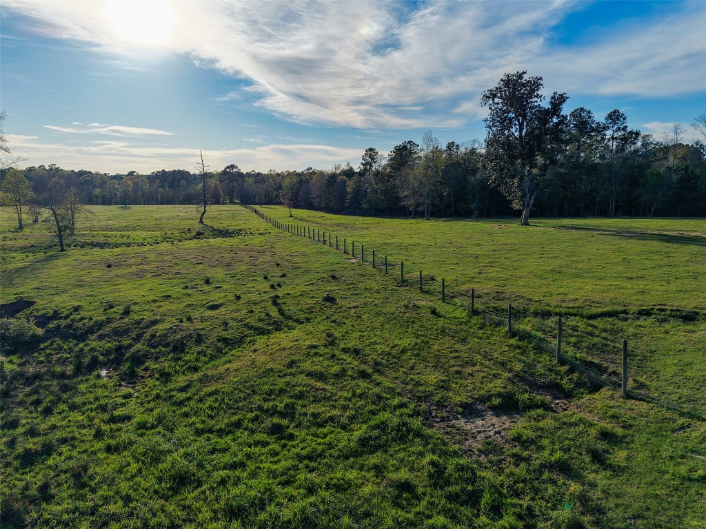 495 Everitt Road Cleveland, TX 77328 - Photo 33 of 41