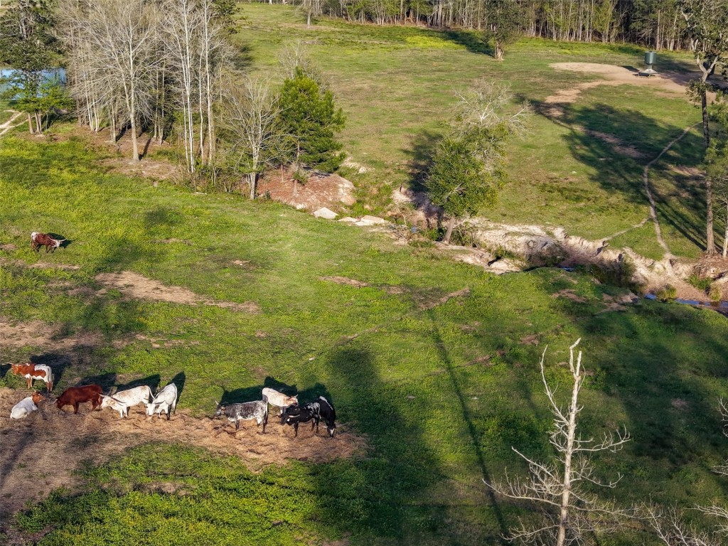 495 Everitt Road Cleveland, TX 77328 - Photo 35 of 41