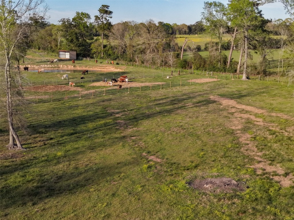 495 Everitt Road Cleveland, TX 77328 - Photo 39 of 41