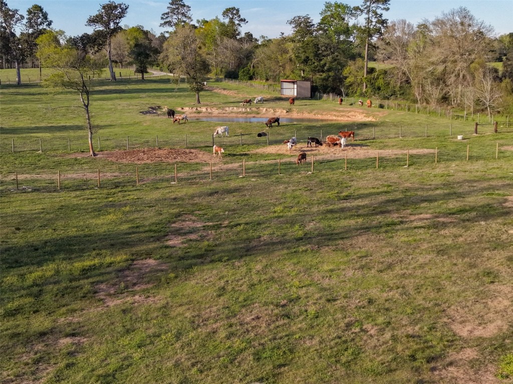 495 Everitt Road Cleveland, TX 77328 - Photo 40 of 41