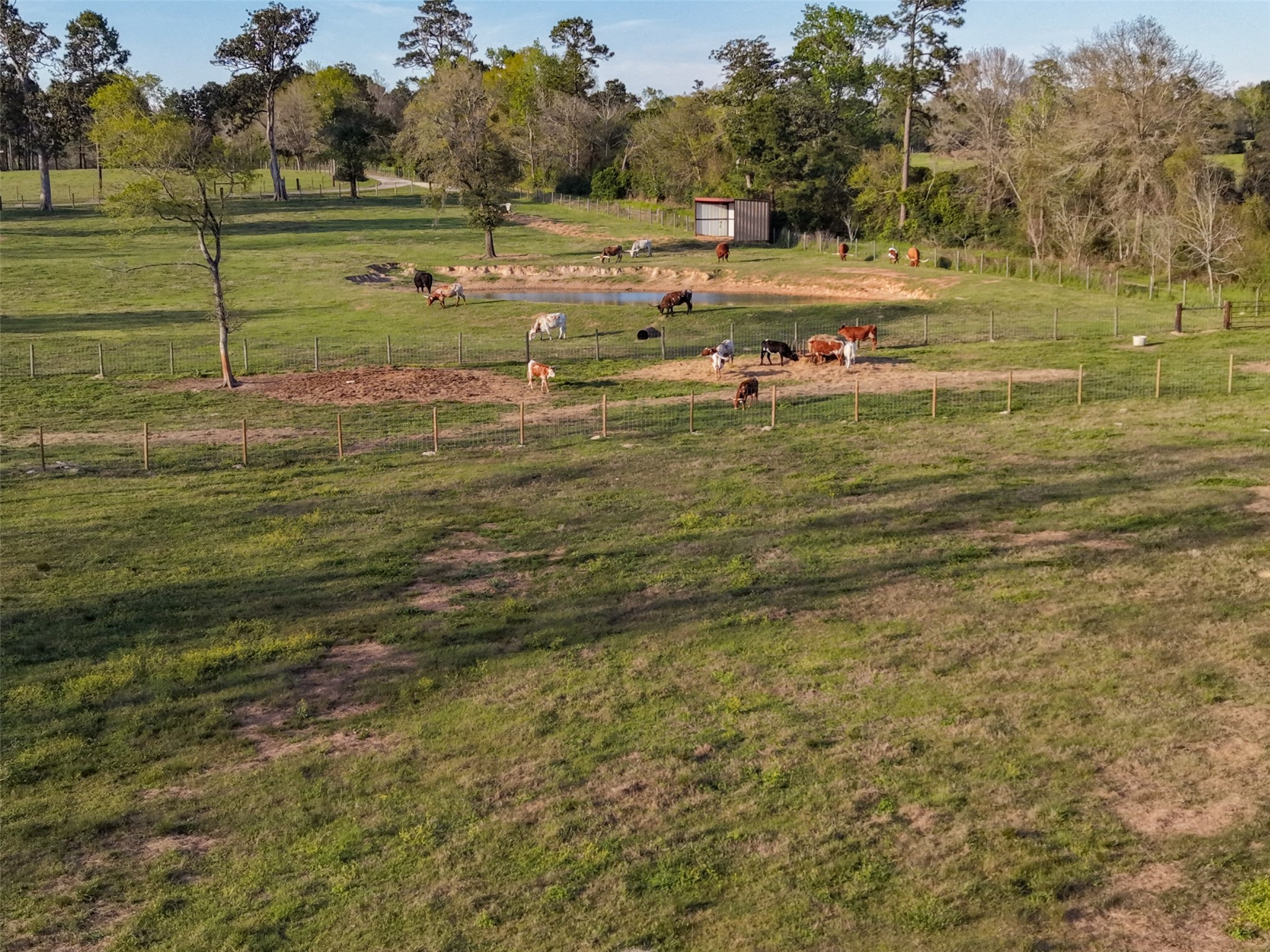 495 Everitt Road Cleveland, TX 77328 - Photo 40 of 41