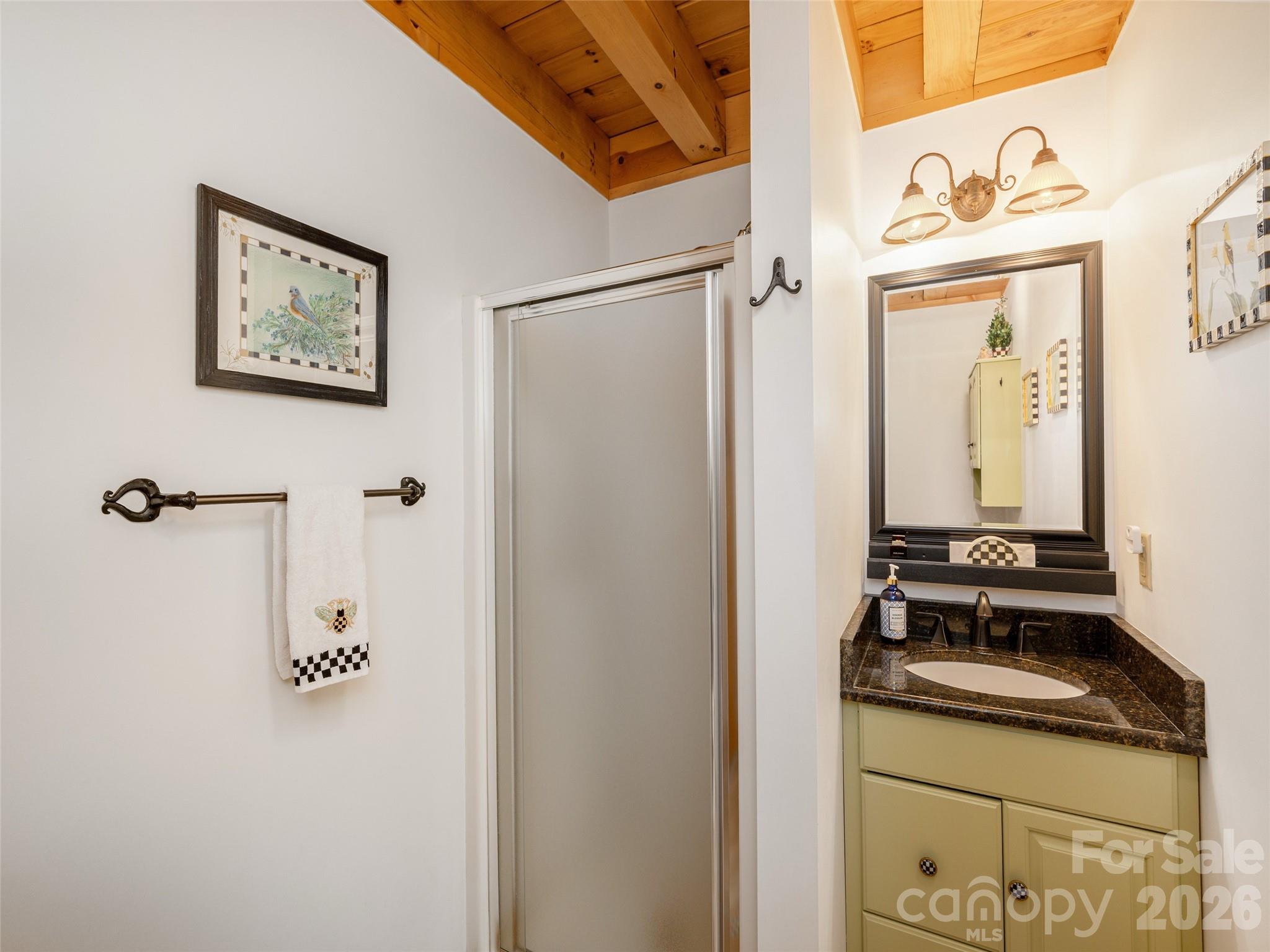 622 Oleta Road Hendersonville, NC 28792 - Photo 20 of 48 a bathroom with a sink a mirror and a shower