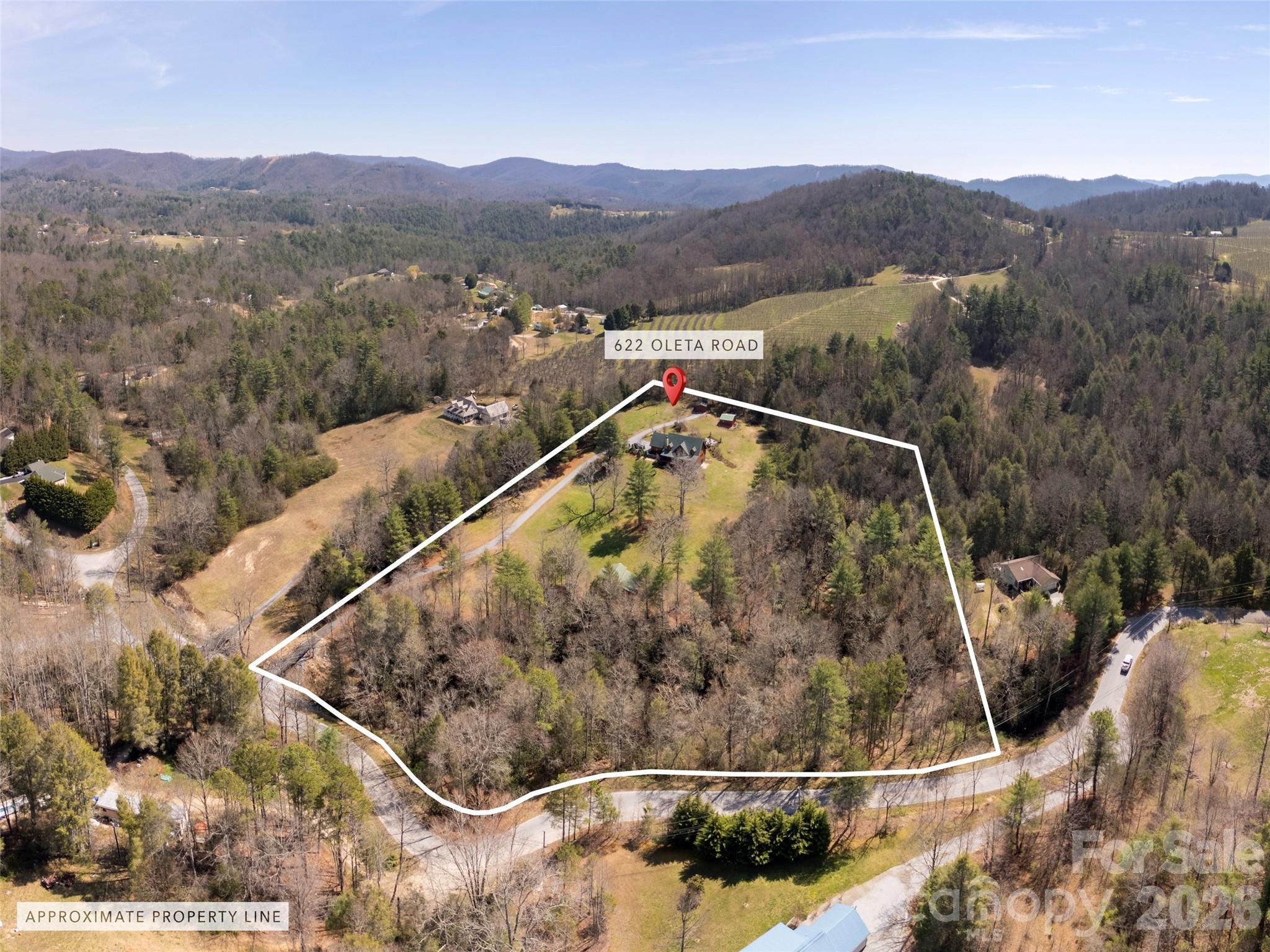 622 Oleta Road Hendersonville, NC 28792 - Photo 48 of 48 a view of a forest