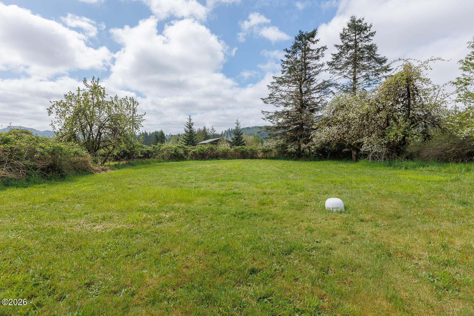 1529 Moonshine Park Road Logsden, OR 97357 - Photo 7 of 35 Web-6