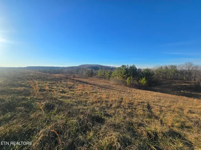 $34,560 | Lot 1 Honey Creek Road, Allardt, TN 38504