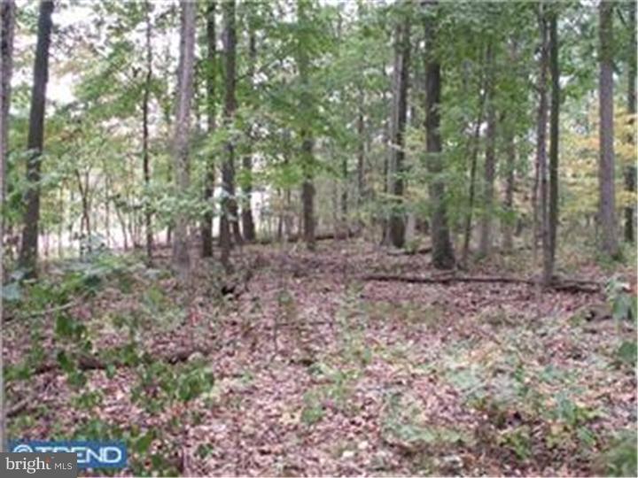 Lot 1 Klingerman Road Telford, PA 18969 - Photo 1 of 1