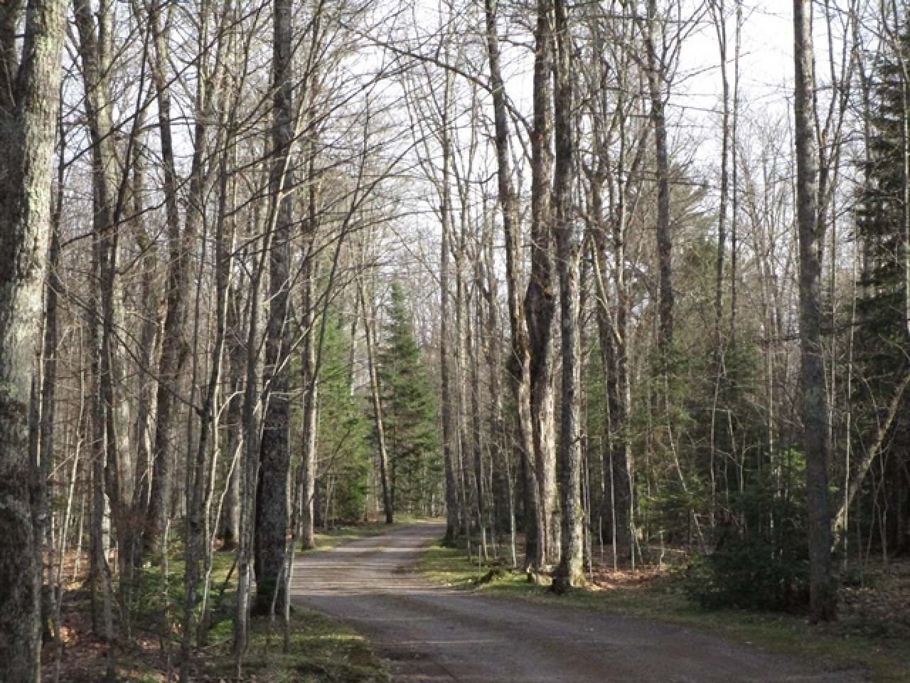 4950 Black Lake Road Mercer, WI 54547 - Photo 24 of 34 Gallery Image 24
