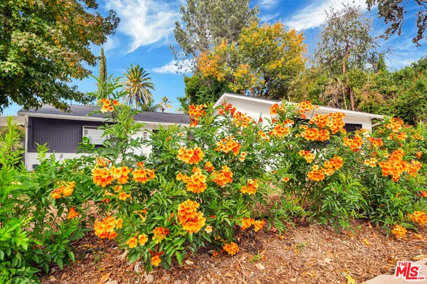 $4,500 | 20619 Clark Street, Woodland Hills, CA 91367