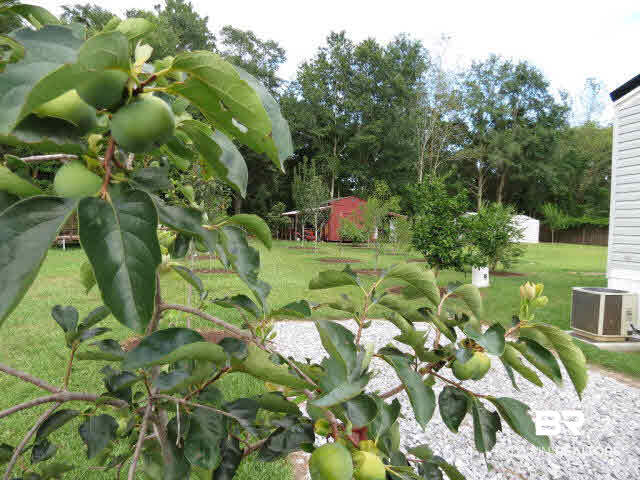 10849 Bellingrath Road Theodore, AL 36582 - Photo 14 of 14 Back Yard