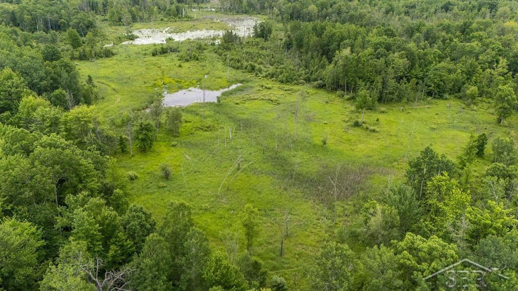 3428 3 Rivers Road Gladwin, MI 48624 - Photo 23 of 28