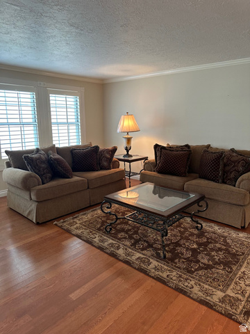 254 Meadow Lane Centerville, UT 84014 - Photo 10 of 34 Expansive living area featuring warm wood-finish flooring, white crown molding, and neutral wall tones