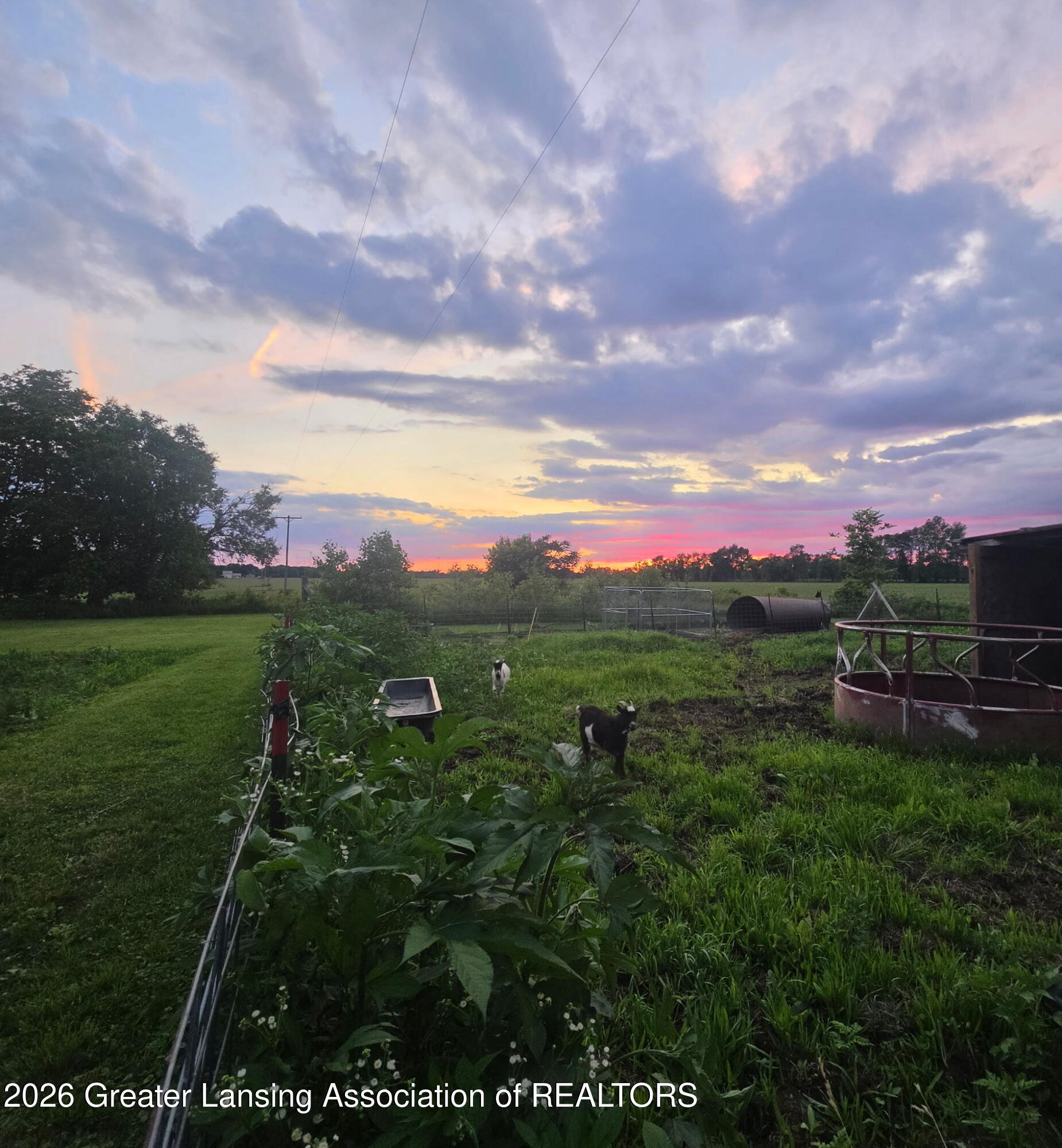107 10 Mile Road Union City, MI 49094 - Photo 40 of 46 13433