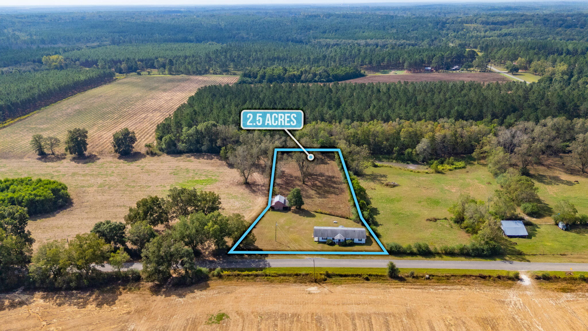 1950 Prescott Road Florala, AL 36442 - Photo 2 of 56 a view of a swimming pool with a yard