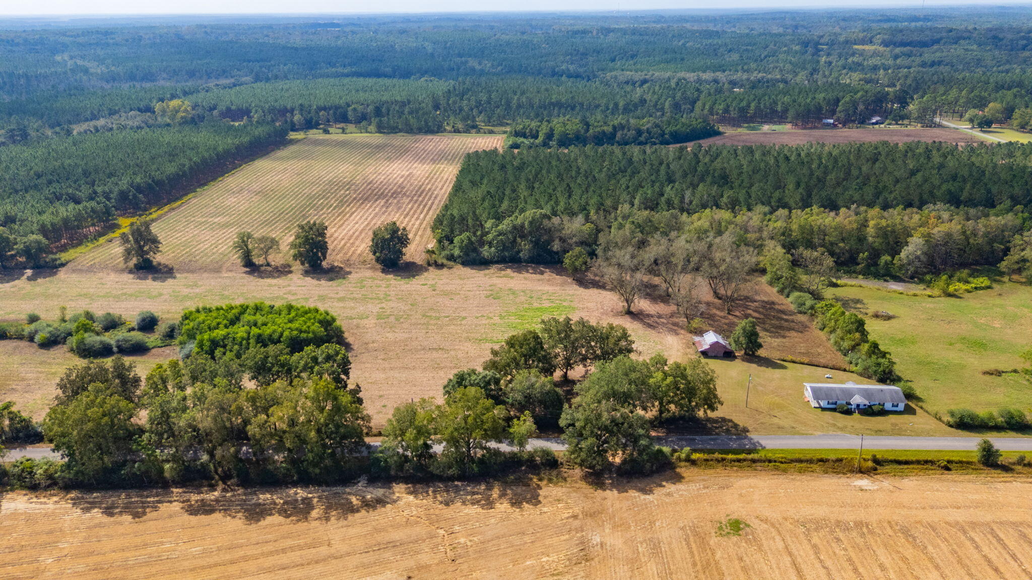1950 Prescott Road Florala, AL 36442 - Photo 35 of 56 a view of a lake with a mountain