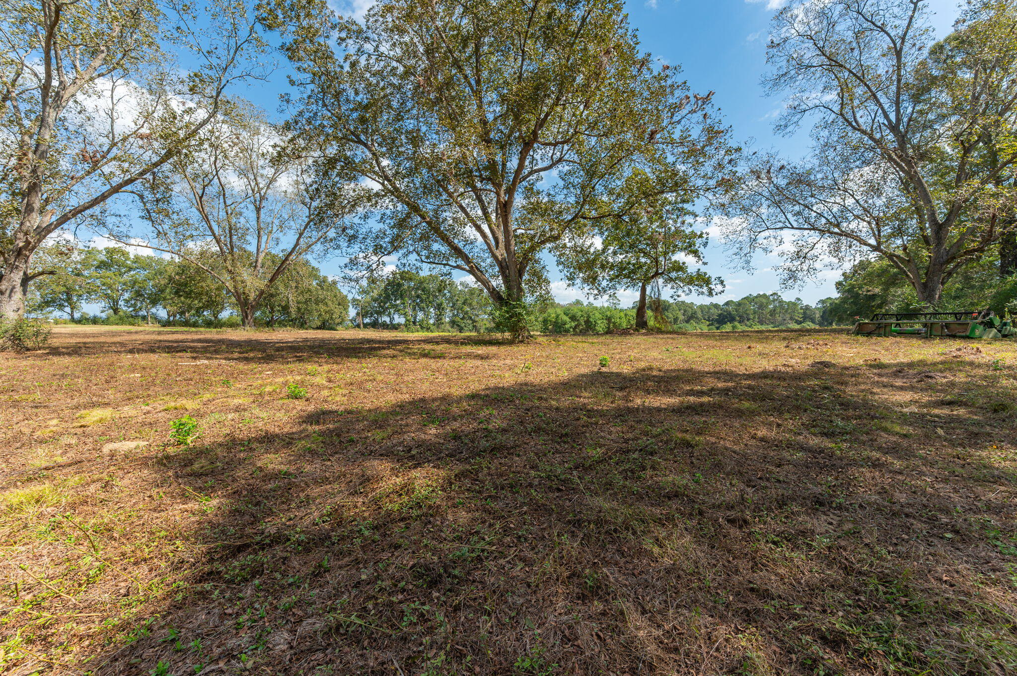 1950 Prescott Road Florala, AL 36442 - Photo 46 of 56 a view of a yard with a tree