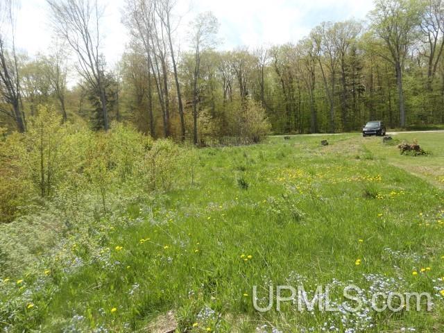 Tbd Autrain Forest Lake Road Au Train, MI 49806 - Photo 7 of 12