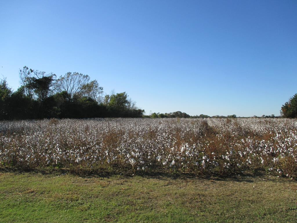 Lot C Ammons Road Sumter, SC 29153 - Photo 1 of 3 Gallery Image 1