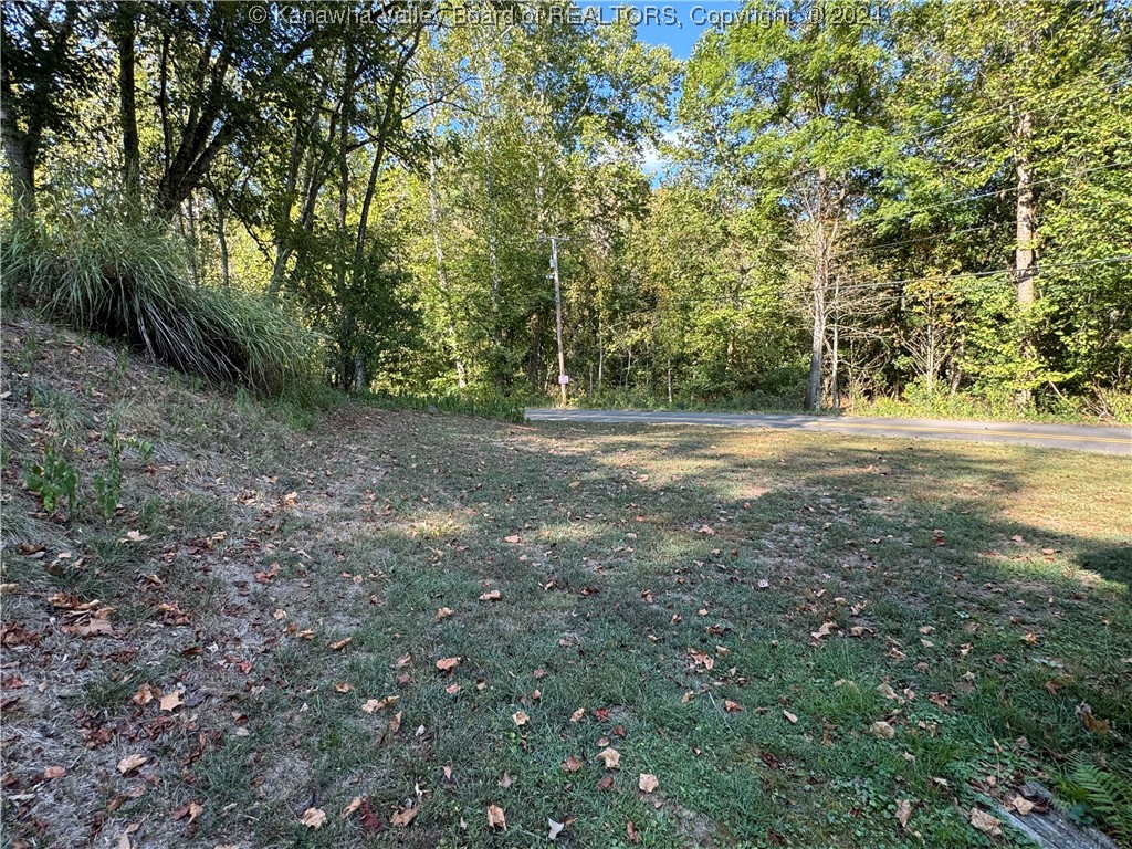 3517 Heizer Creek Road Poca, WV 25159 - Photo 38 of 42 Gallery Image 38