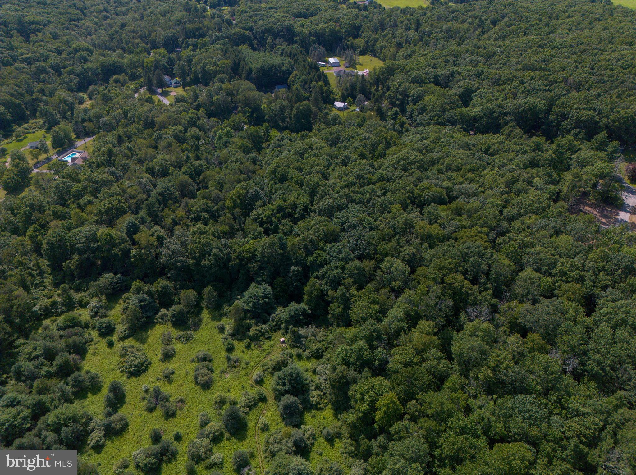 194 State Road Barnesville, PA 18214 - Photo 10 of 12 Gallery Image 10
