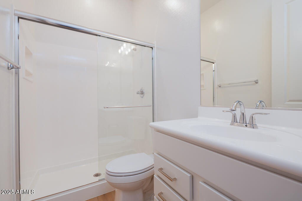 1910 East Empeltre Road San Tan Valley, AZ 85140 - Photo 24 of 32 Tri Pointe Homes - Soleo 324 - Bathroom
