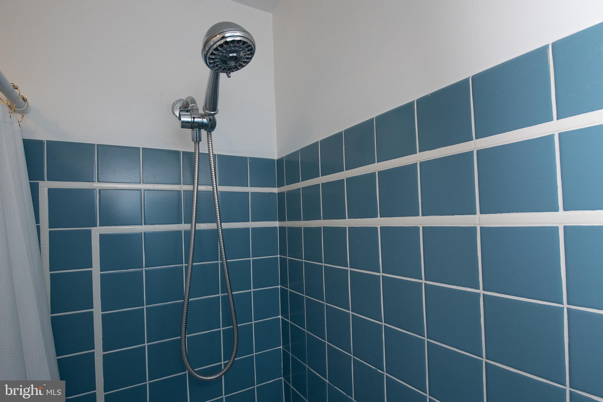 231 Stacey Road Penn Valley, PA 19072 - Photo 23 of 31 Hall Bath with soaking tub/shower
