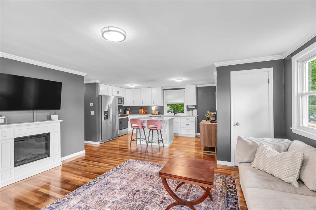 71 Endecott Street Springfield, MA 01118 - Photo 4 of 42 a living room with furniture a flat screen tv and a fireplace