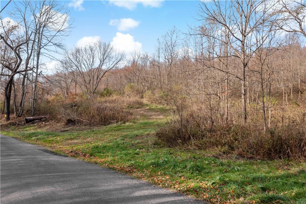 116 Bielers Run Road Midland, PA 15059 - Photo 6 of 23 Gallery Image 6