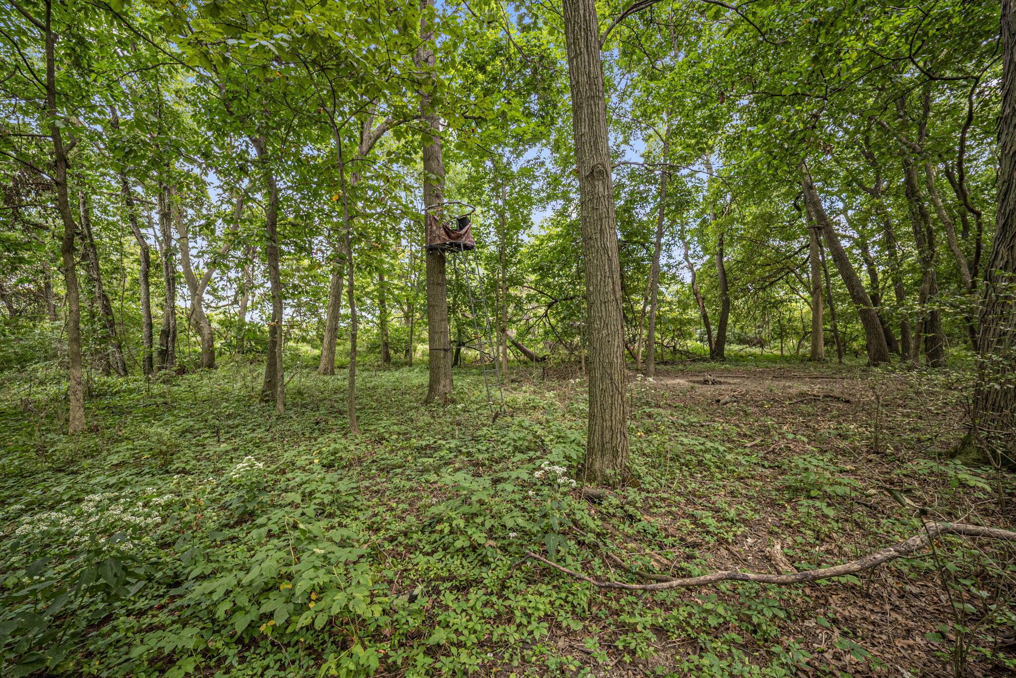 0 Likens Road Marion, OH 43302 - Photo 53 of 88 51-web-or-mls-DSC07047