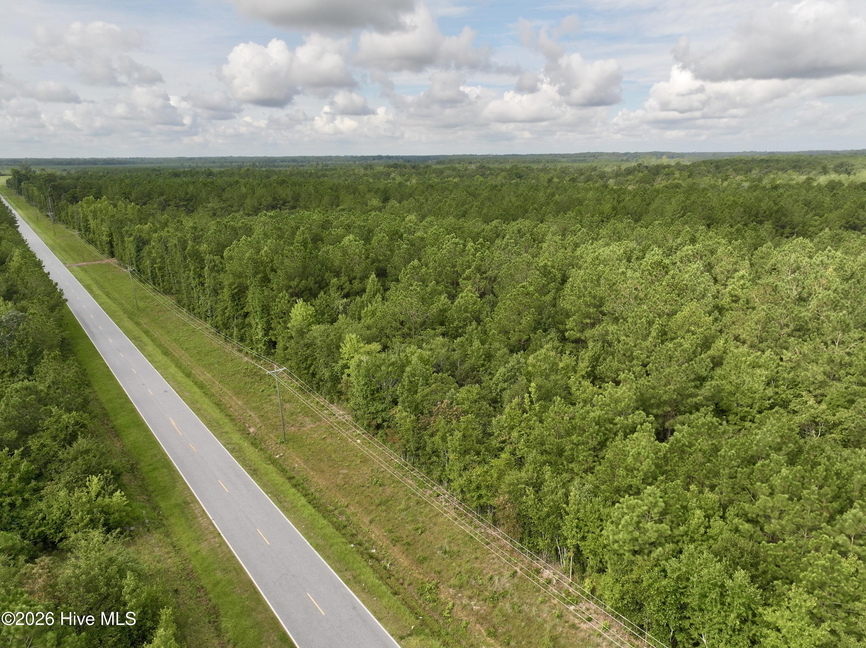 4 Cupelo Road Walstonburg, NC 27888 - Photo 3 of 16 Gallery Image 3