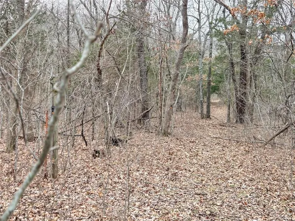 $114,900 | 67 North Dade 237, Walnut Grove, MO 65770