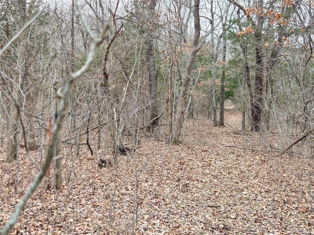 67 North Dade 237 Walnut Grove, MO 65770 - Photo 11 of 24