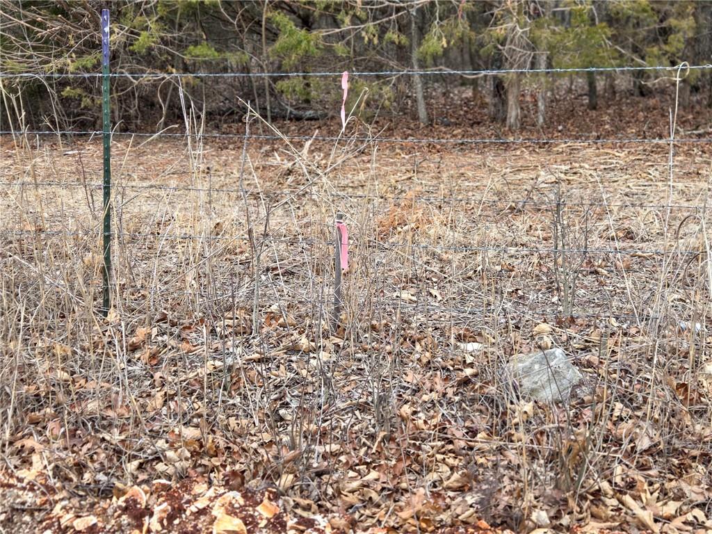 67 North Dade 237 Walnut Grove, MO 65770 - Photo 12 of 24