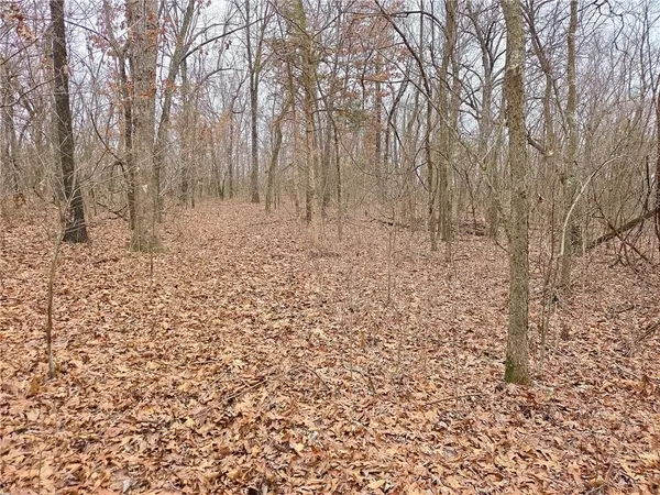 $114,900 | 67 North Dade 237, Walnut Grove, MO 65770