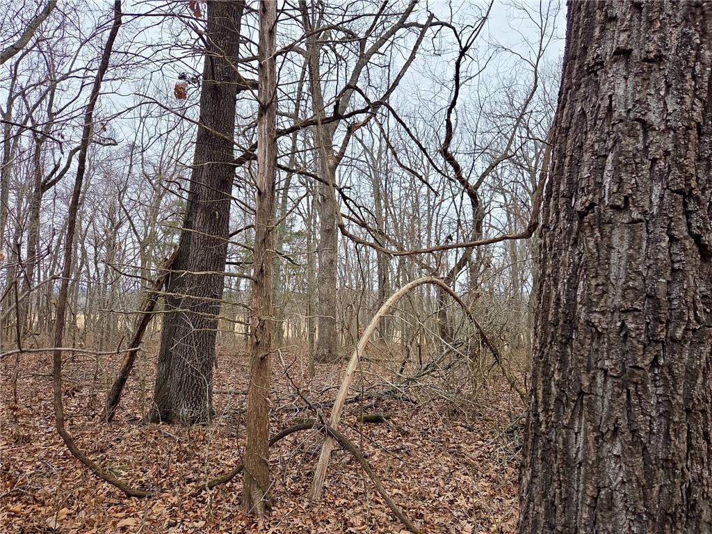 67 North Dade 237 Walnut Grove, MO 65770 - Photo 15 of 24